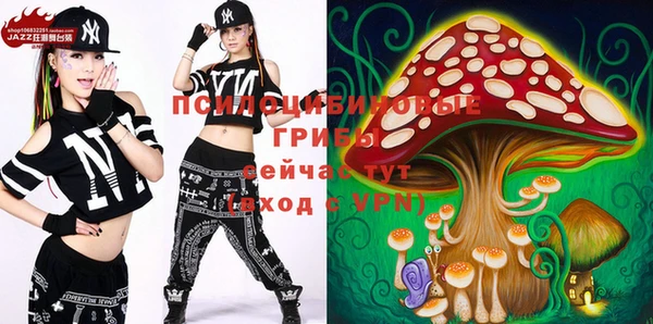 прущие крисы Балахна