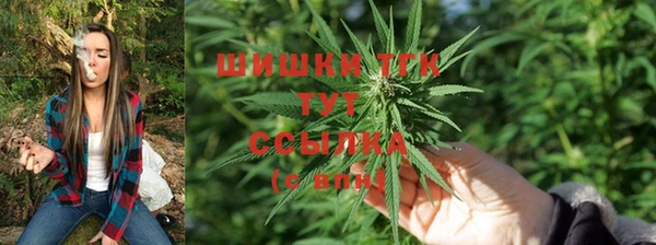 каннабис Баксан